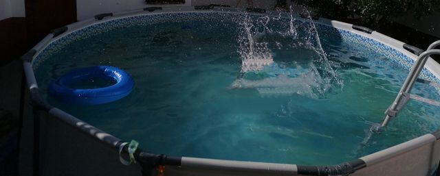Piscina desmontable .