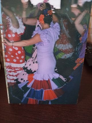 Traje Flamenco Gitana Morado Talla 38/40 con acces