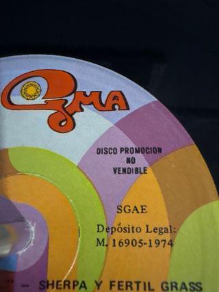 Vinilo Sherpa - Hace Largo Tiempo PROMOCIONAL