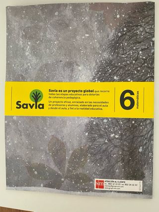 Matemáticas. 6 Primaria. Savia (Spanish Edition)