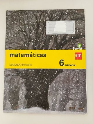 Matemáticas. 6 Primaria. Savia (Spanish Edition)