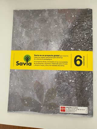 Matemáticas. 6 Primaria. Savia (Spanish Edition)