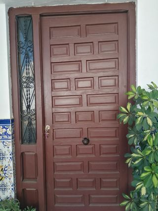 Puerta de calle de madera
