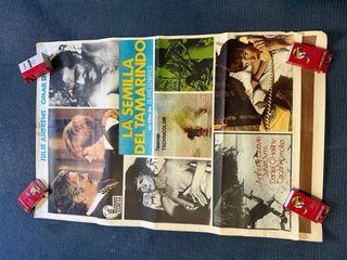 Póster Película Este Perro Mundo