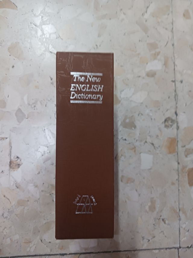 Hucha libro diccionario