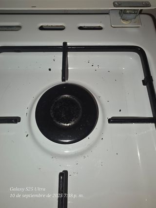 Cocina de gas con horno