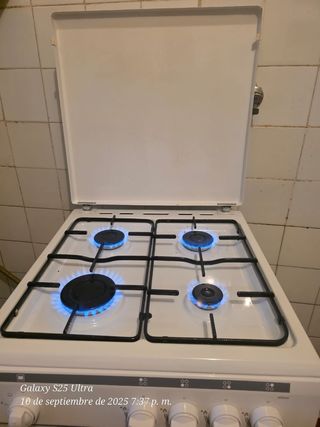 Cocina de gas con horno