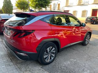 HYUNDAI TUCSON 1.6 TGDI 110kW 150CV 48V Maxx Sky