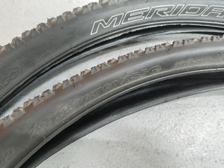 Cubiertas MTB 29 Merida