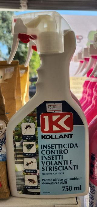 Insetticida Kollant contro insetti volanti e stris
