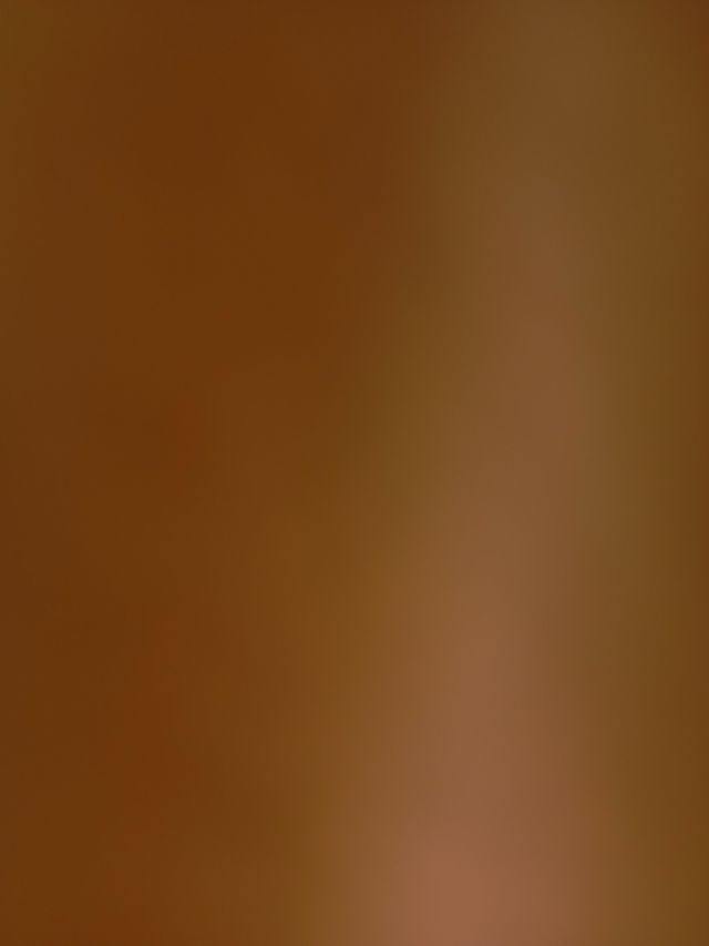 Star Fox Adventures per Nintendo GameCube PAL