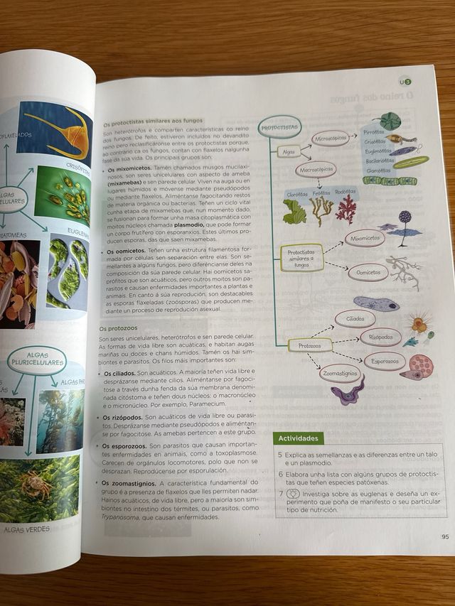 Bioloxía, Xeoloxía e Ciencias Ambientais 1.