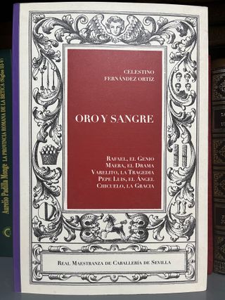 ORO Y SANGRE - LIBRO TOROS - TAUROMAQUIA