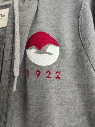 Sudadera Hollister Gris con Cremallera talla M