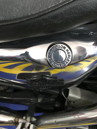 Harley Davidson Sportster 883 Custom