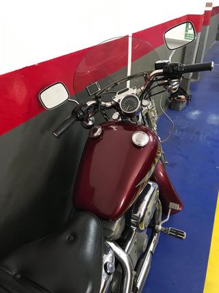 Harley Davidson Sportster 883 Custom