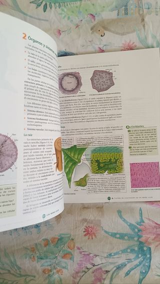 Biología y Geología 1º Bachillerato Tesela Libr...