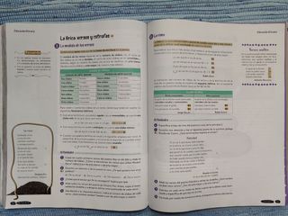 Lengua Castellana y Literatura 1º ESO. Libro de...