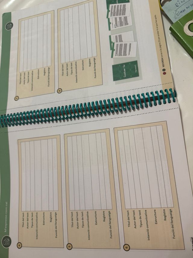 Punt volat 4. Quadern d'activitats (Nova edició...