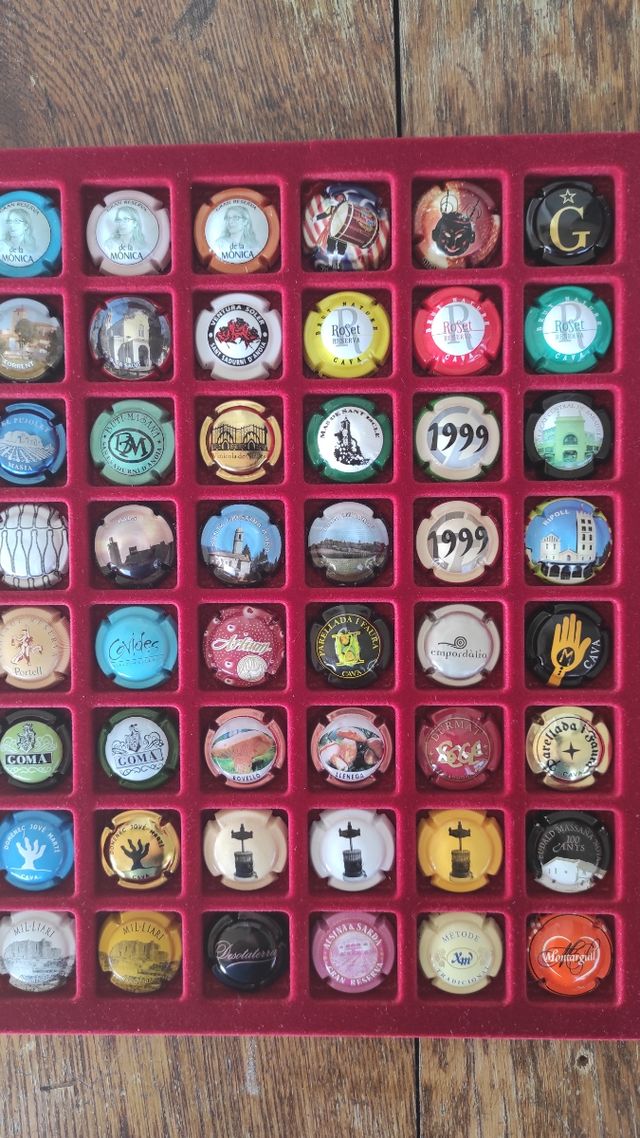 48 Placas de Cava Colección Variada