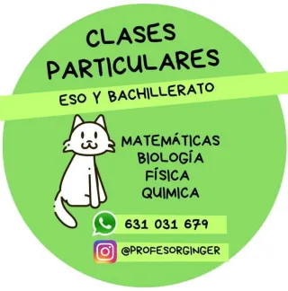 Clases particulares