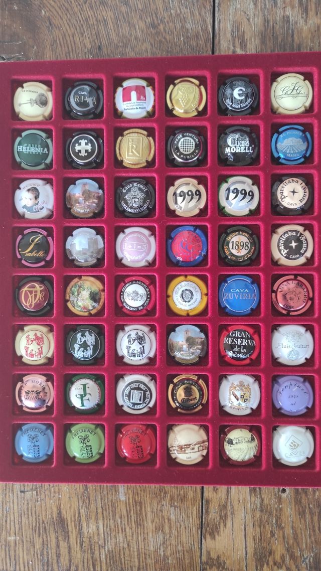 48 Placas de Cava Colección Variada