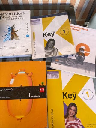 Lote Libros Bachillerato Matemáticas, Economía, In