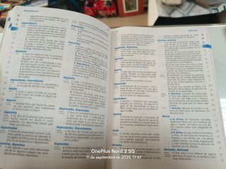 Diccionario de Primaria (Spanish Edition)