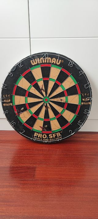 Diana Winmau profesional con dardos