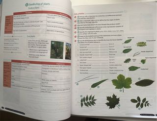 Biology & Geology 1º ESO. Student's book. GENiOX