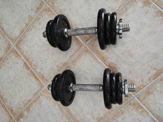 2 Mancuernas 10 kg c/u