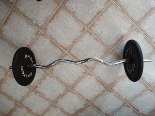 Barra Z con 2 discos 10 kg