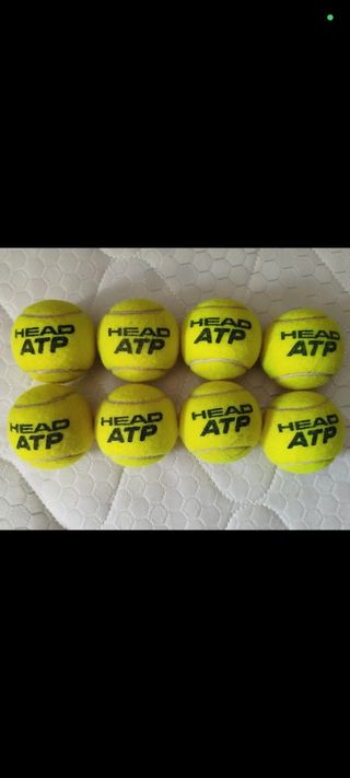 Pelotas Tenis Head ATP 12 Unidades