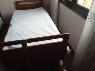 Cama articulada eléctrica