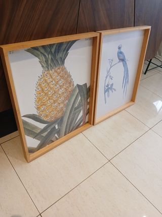 Cuadros de piña y pájaro en madera