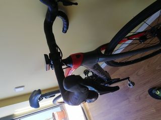 Trek Domane SL4 talla 52 (M) 