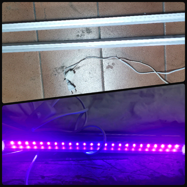 LÁMPARA FLOORECENTE 2 UND +REGALO 1 NEON