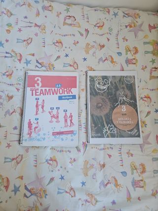 Libros 3 de la eso Miguel Fernández