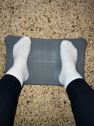 Wii Fit + Wii Fit Plus Juego