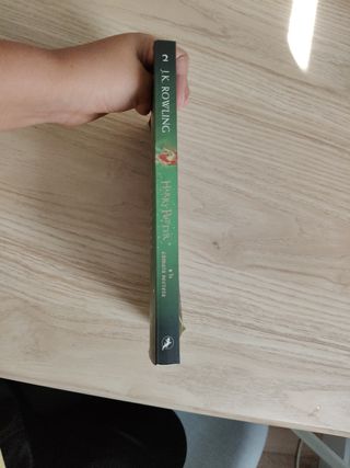 Harry Potter y la cámara secreta (Harry Potter 2)