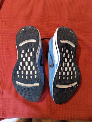Zapatillas Nike Running Asfalto - Azul Naranja