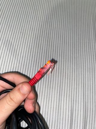 Cable Ethernet Negro con Conectores Rojos