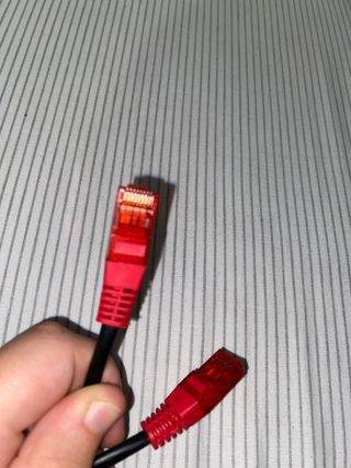Cable Ethernet Negro con Conectores Rojos