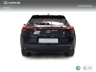 Lexus UX 2.0 250h Business