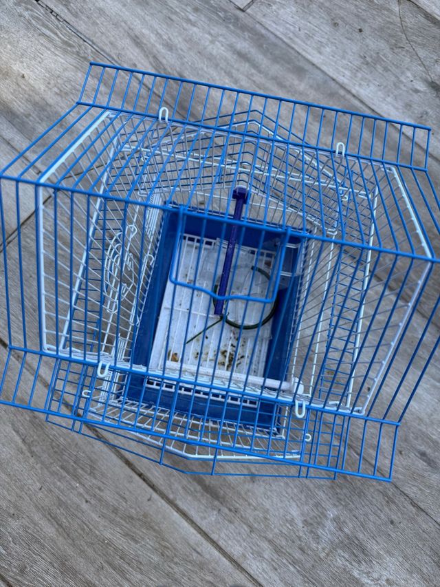 Jaula para pájaros azul y blanca