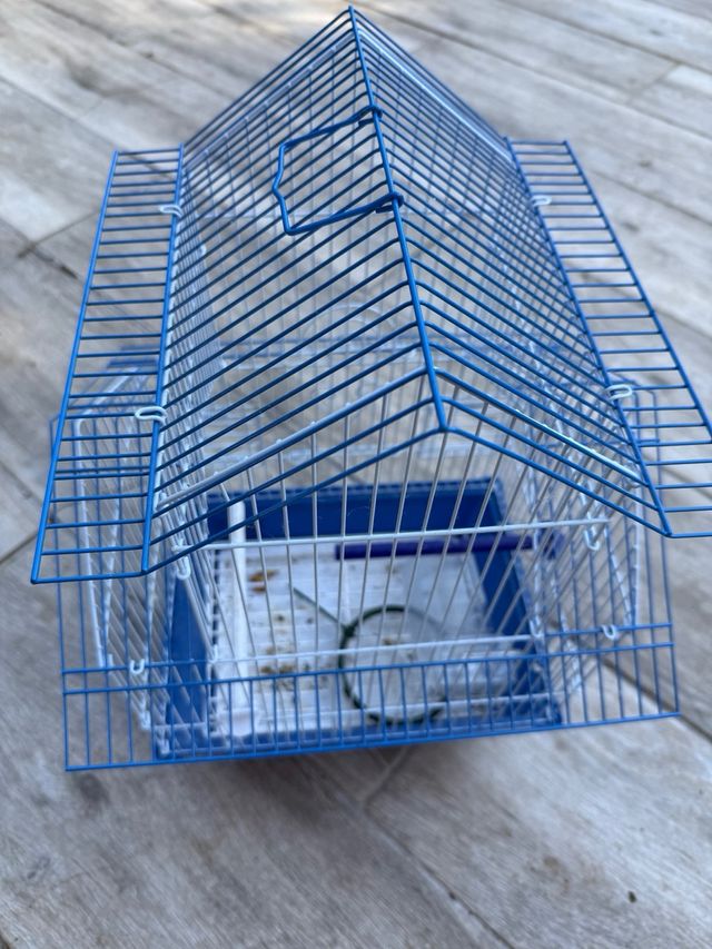 Jaula para pájaros azul y blanca