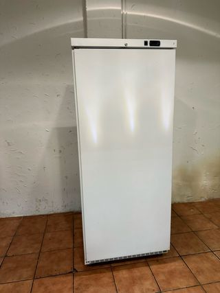 Congelador vertical de una puerta