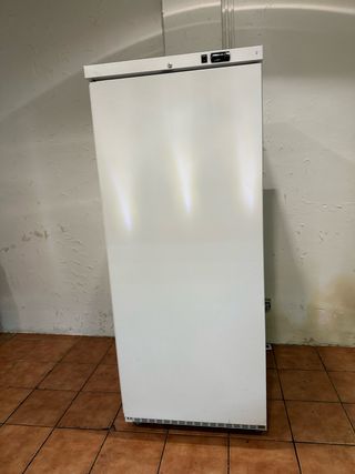 Congelador vertical de una puerta