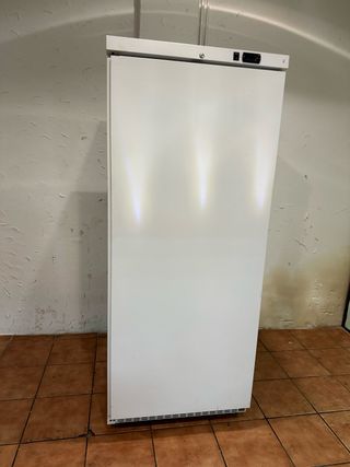 Congelador vertical de una puerta
