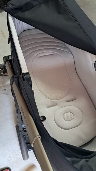 Inglesina Aptica Silla y Capazo color Minding Nigh